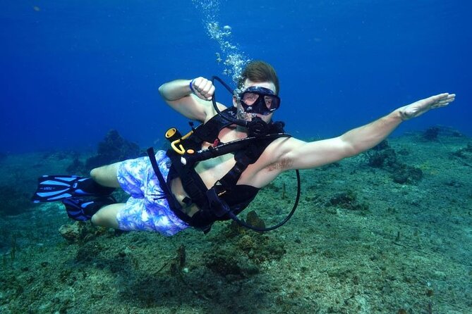 1 Tank Guided Shore Dive Including Equipment - Key points to know before booking