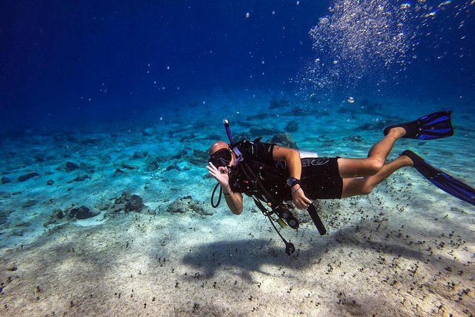 1 Tank Guided Shore Dive Including Equipment - A one-tank outing built around easy access