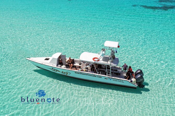 2 Tank Morning Dive: Scuba Diving in Cozumel - Key points for your Cozumel morning