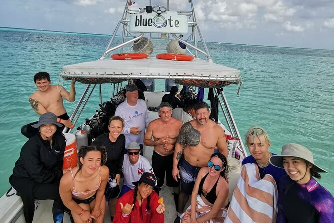 2 Tank Morning Dive: Scuba Diving in Cozumel - Lunch makes the surface interval count
