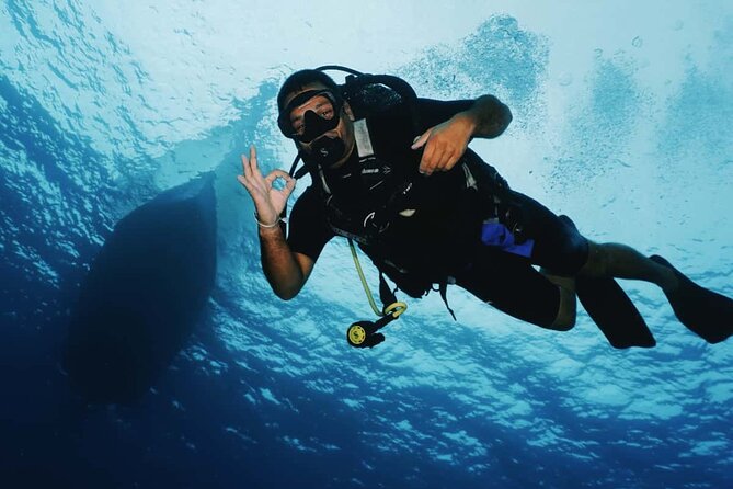 2 Tank Morning Dive: Scuba Diving in Cozumel - Is $160 a fair price?