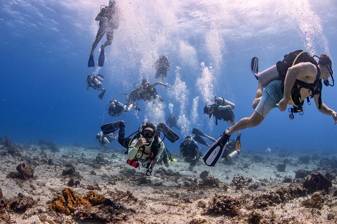 2 Tanks dives for Certified Divers in Cozumel - At a glance