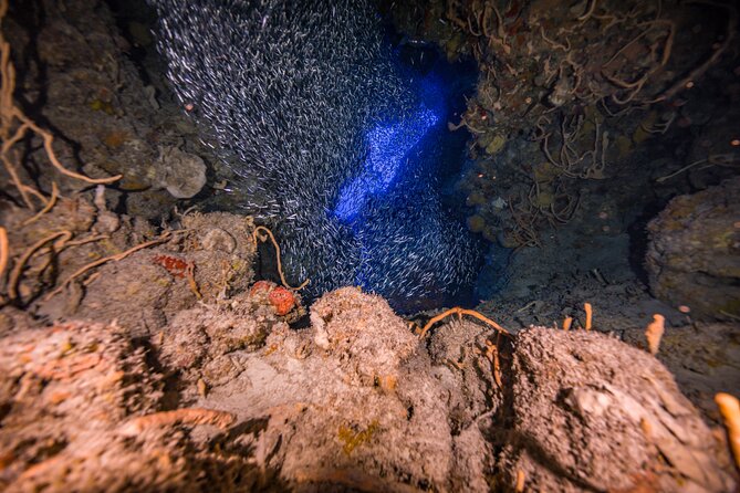 2 Tanks dives for Certified Divers in Cozumel - The surface break and light lunch