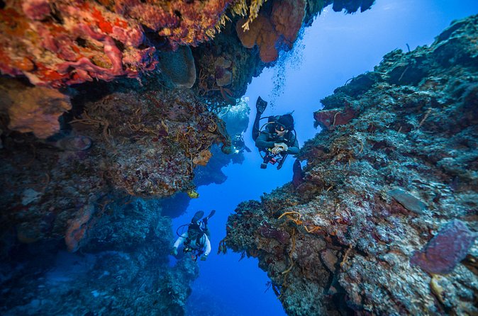 2 Tanks dives for Certified Divers in Cozumel - The second reef makes the outing feel complete