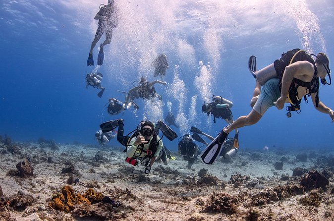 2 Tanks dives for Certified Divers in Cozumel - The people who shape the experience