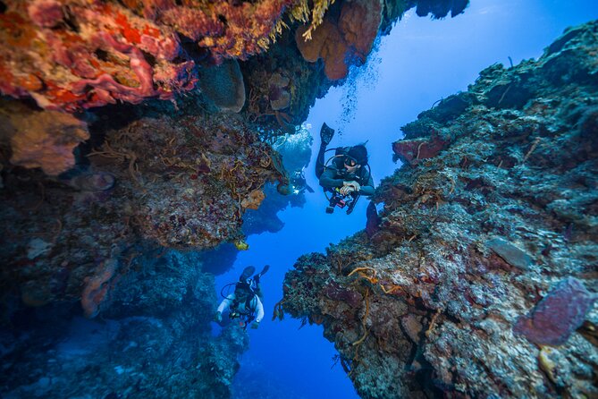 2 Tanks dives for Certified Divers in Cozumel - Who should book this Cozumel outing