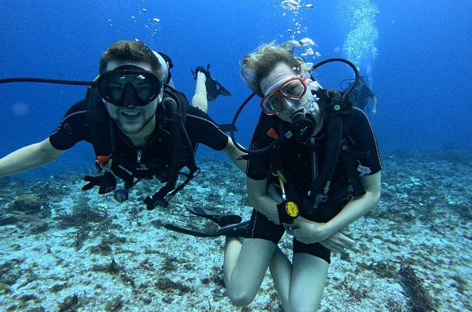 2 tanks for certified divers - Should you book the two-reef tour?