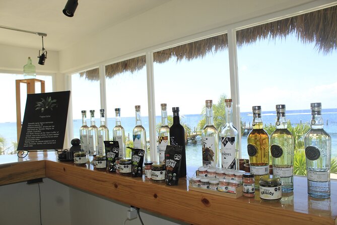 3-Hour Small-Group Mezcal and Tequila Tasting activity from Cozumel - Is $66.85 a fair price?