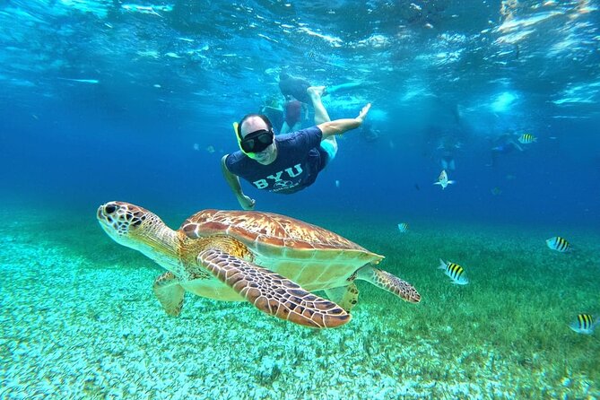 4 Hour Cozumel Turtle Sanctuary Experience on a Luxury Catamarán - Why this Cozumel catamaran trip works