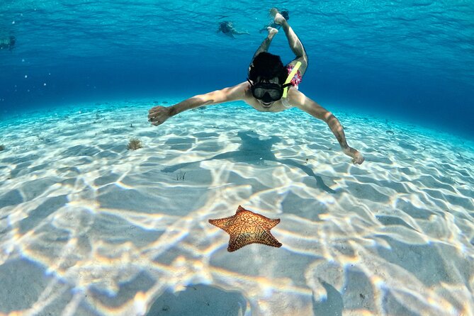 4 Hour Cozumel Turtle Sanctuary Experience on a Luxury Catamarán - The first reef stops and the search for turtles