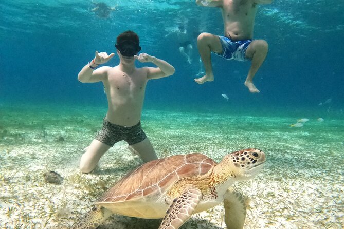 4 Hour Cozumel Turtle Sanctuary Experience on a Luxury Catamarán - Cielito, snacks, stingrays, and a wet lunch