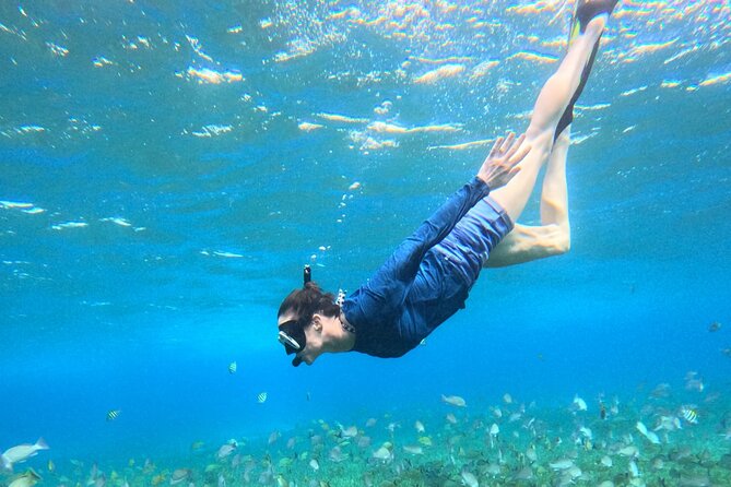 4 Hour Cozumel Turtle Sanctuary Experience on a Luxury Catamarán - The catamaran, comfort, and onboard bathroom