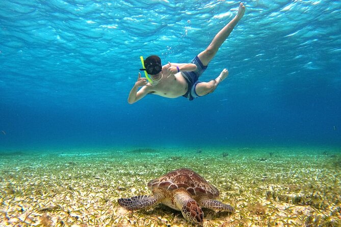 4 Hour Cozumel Turtle Sanctuary Experience on a Luxury Catamarán - What the $77.50 price really includes