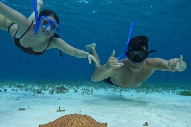 4 hours of shared snorkeling to El Cielo - Palancar Reef: your first serious look below the surface