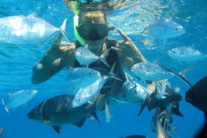 4 hours of shared snorkeling to El Cielo - El Cielo and El Cielito: the relaxed half of the outing