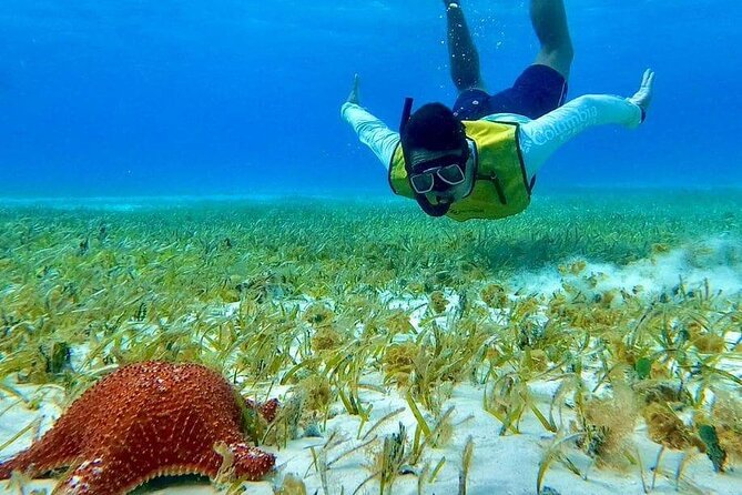 4 hours of shared snorkeling to El Cielo - What is included, and what you still need to pay