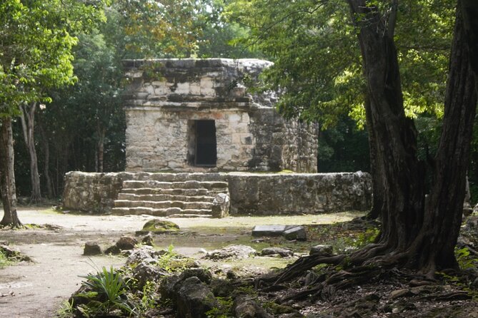 Amazing Jeep Tour Visit Punta Sur Park and San Gervasio Ruins - What the $95 price really buys