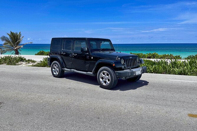 Amazing Jeep Tour Visit Punta Sur Park and San Gervasio Ruins - Guides, pickup, and group size