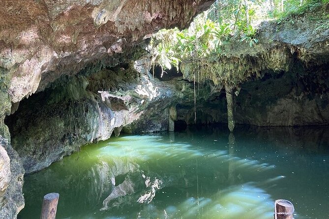 Atv and Cenote All Terrain - Narrow jungle trails and the wild side of Cozumel