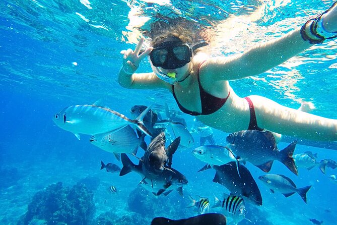 Best Cozumel Day Pass San Francisco Beach Club - Who Will Like This Cozumel Beach Day