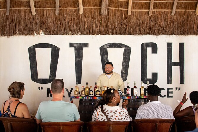Best Island tour (dowtown, Beach, mayan Park & tastings) - Otoch Mayan Experience, where the day gets more personal