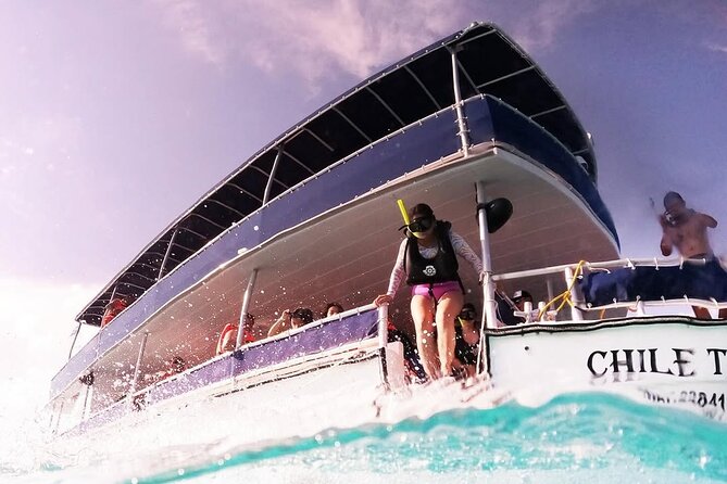 Catamaran Excursion + Open bar + Snorkeling at El Cielo - El Cielo, sea stars in shallow blue water