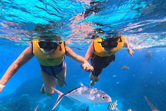 Catamaran in Cozumel with snorkeling at El Cielo and open Bar - Chicken, rice, and fruit after the swim