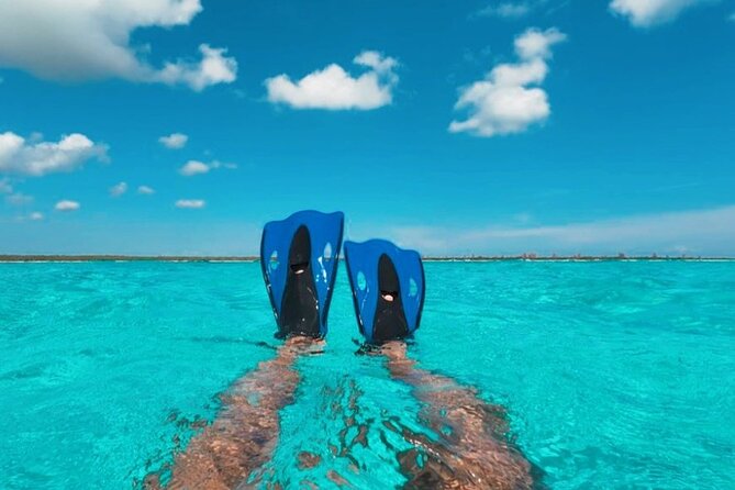 Catamaran in Cozumel with snorkeling at El Cielo and open Bar - Is $38.50 a good value?