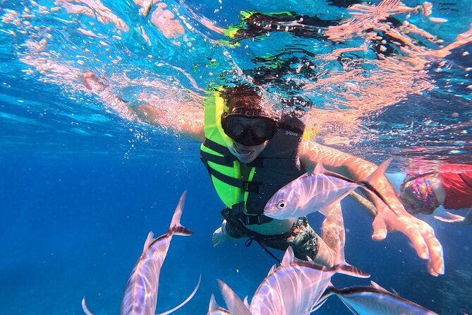 Catamaran in Cozumel with snorkeling at El Cielo and open Bar - The first reef stop, 35 minutes in the water