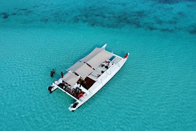 Catamaran Snorkeling to El Cielo and The Money Bar Beach Club - Key points to know before you book