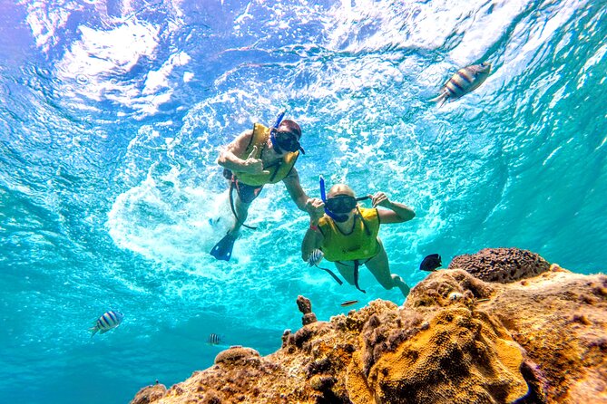 Catamaran Snorkeling to El Cielo and The Money Bar Beach Club - El Cielo’s shallow water and starfish