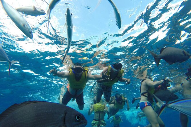 Catamaran Snorkeling to El Cielo and The Money Bar Beach Club - Who should book this experience