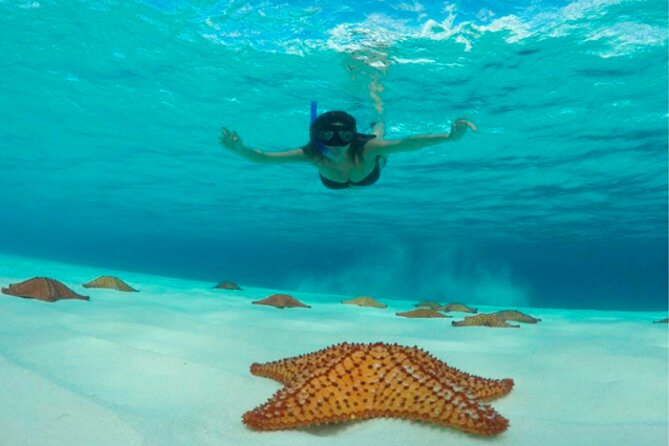 Catamaran Snorkeling to El Cielo and The Money Bar Beach Club - Weather, sea conditions, and cruise timing