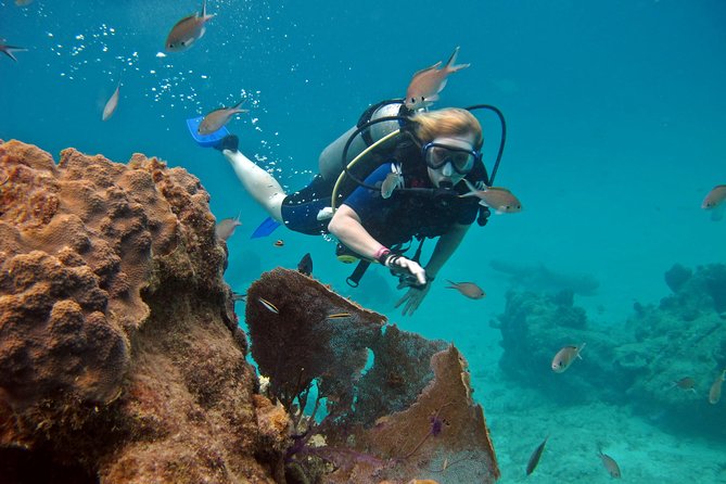 Chankanaab Cozumel Scuba Diving - Who will enjoy this experience most