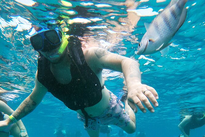 Chankanaab Park Admission + Snorkeling - Snorkeling above the Chankanaab Reef