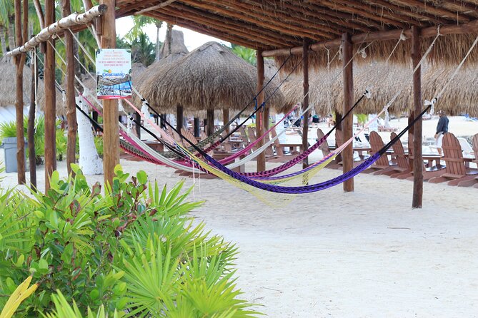 Chankanaab Park Admission +Snorkeling + Lunch included - Lunch and Two Drinks