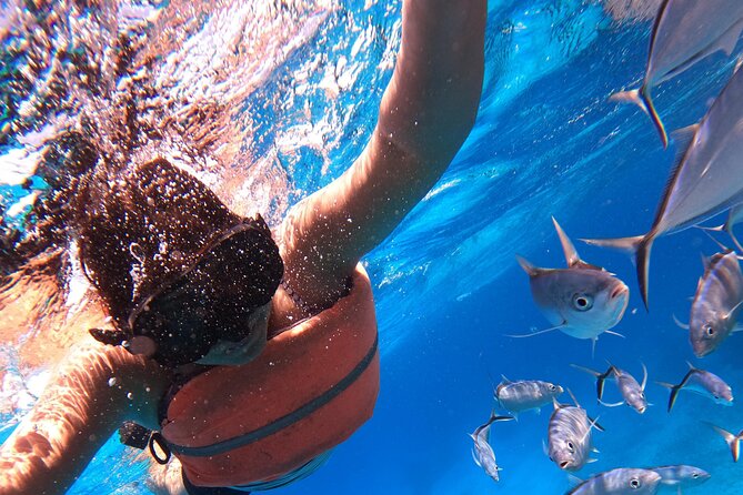 Chankanaab Park Admission +Snorkeling + Lunch included - The Beach, Loungers, and Umbrellas