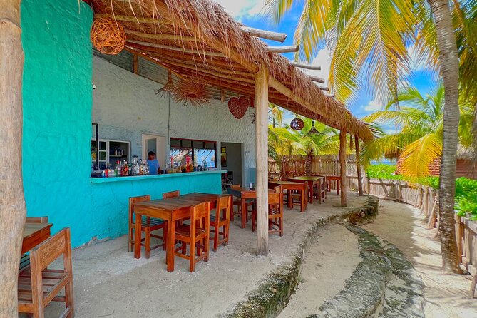 Chankanab Park Admission +Open bar +Lunch included +Snorkeling - Underwater statues, coral, and marine life