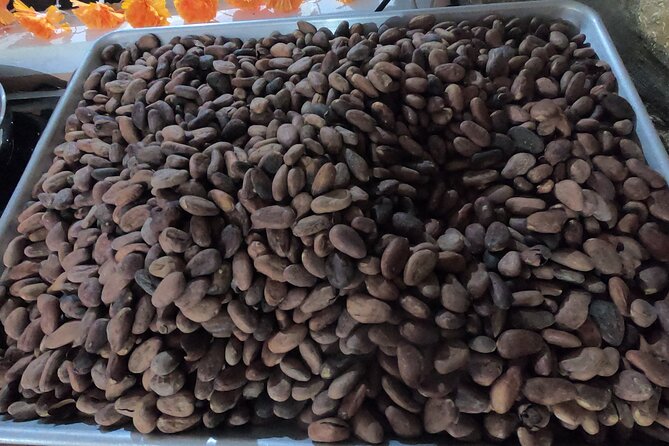 Chocolate Tasting & mayan Presentation - Is $82 a fair price?