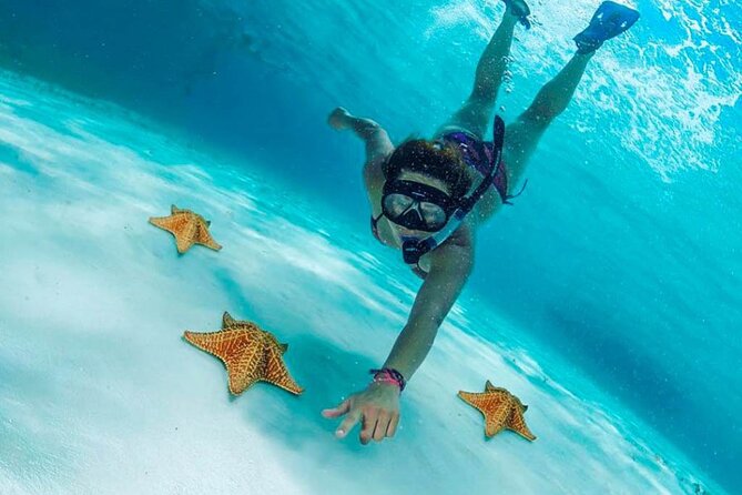 Cielito Cozumel: Mexican Caribbean Snorkeling Tour - Colombia Reef offers caves, tunnels, and large coral