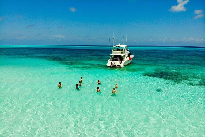 Cielito Cozumel: Mexican Caribbean Snorkeling Tour - Palancar Reef brings the biggest underwater scenery