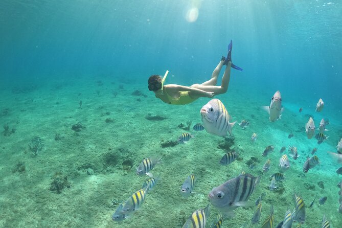 Clear Boat & Snorkel Cozumel Tour with Drinks - Weather, cancellations, and what to protect against