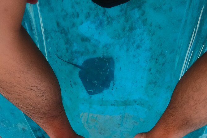 Clear Kayaking, Sea Scooters Adventure - A compact choice for cruise day