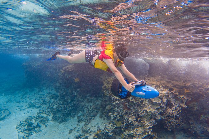 Clear Kayaking, Sea Scooters Adventure - What to eat after the water