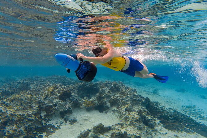 Clear Kayaking, Sea Scooters Adventure - Is $79 a fair price?