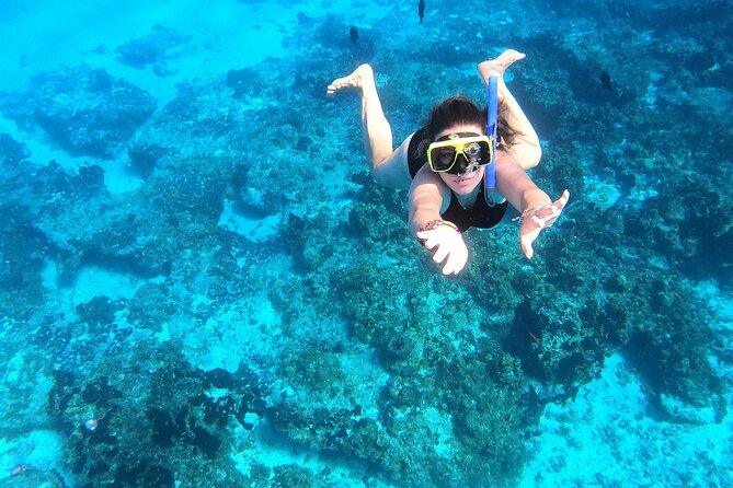 Colombia, Palancar & Cielo Cozumel Snorkel Tour - The Cozumel reefs you may actually visit