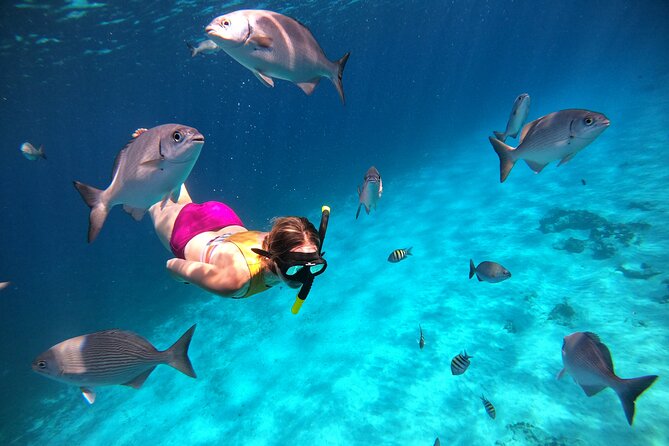 Colombia, Palancar & Cielo Cozumel Snorkel Tour - Four hours on paper, less time in the water