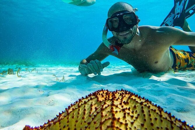 Colombia, Palancar & Cielo Cozumel Snorkel Tour - Boat size, comfort and the bathroom question