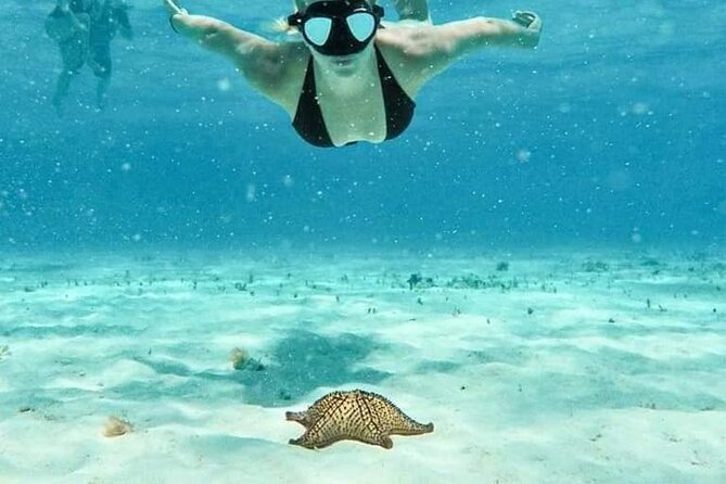 Cozumel 4 Hour Boat Sky Tour - Key things to know before booking