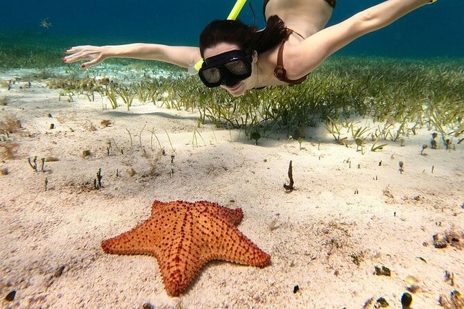 Cozumel 4 Hour Boat Sky Tour - Playa El Cielo is shallow and known for starfish
